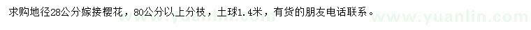 求購(gòu)地徑28公分櫻花