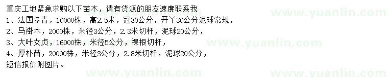 求購(gòu)法國(guó)冬青、馬褂木、大葉女貞等