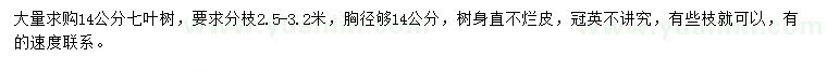 求購14公分七葉樹