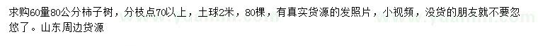求購60量80公分柿子樹