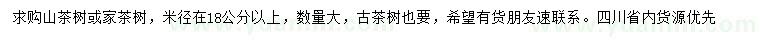 求購米徑18公分以上山茶樹