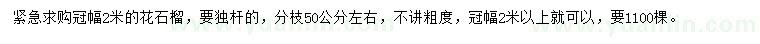 求購(gòu)冠幅2米花石榴