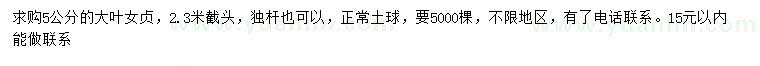 求購5公分大葉女貞