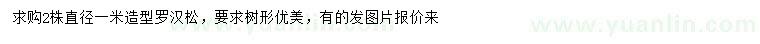 求購1米造型羅漢松