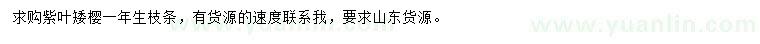求購(gòu)紫葉矮櫻一年生枝條