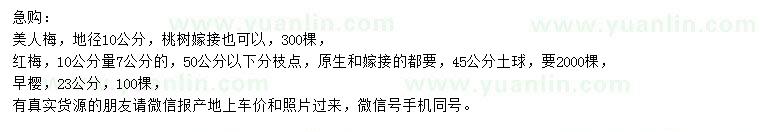 求購(gòu)美人梅、紅梅、早櫻