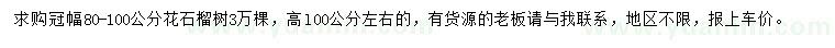 求購冠幅80-100公分花石榴