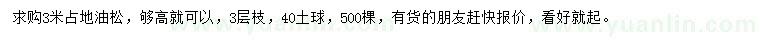 求購(gòu)3米油松