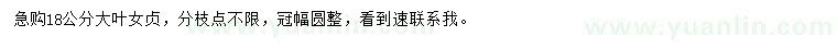 求購18公分大葉女貞