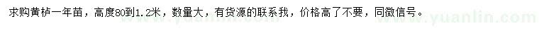 求購高0.8-1.2米黃櫨小苗