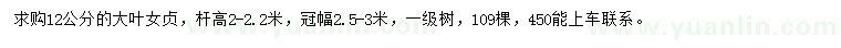 求購12公分大葉女貞