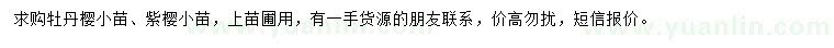 求購牡丹櫻小苗、紫櫻小苗