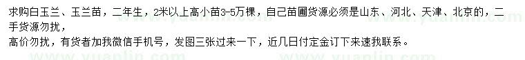 求購高2米以上白玉蘭、玉蘭苗