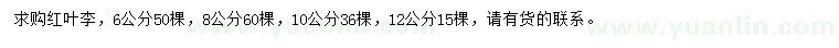 求購6、8、10、12公分紅葉李