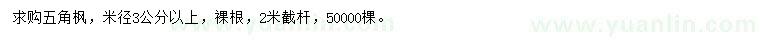 求購(gòu)米徑3公分以上五角楓