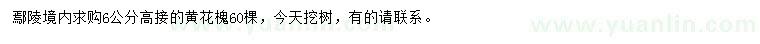 求購(gòu)6公分高接黃花槐