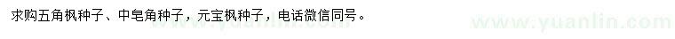 求購五角楓種子、皂角種子、元寶楓種子