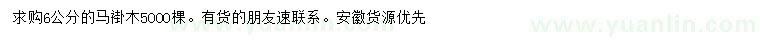 求購6公分馬褂木