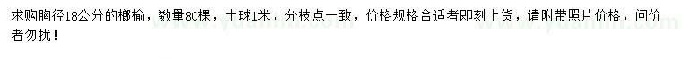 求購胸徑18公分榔榆