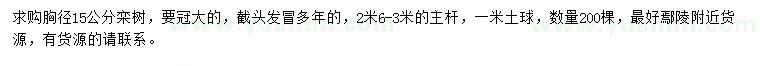 求購胸徑15公分欒樹