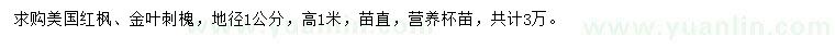 求購地徑1公分美國紅楓、金葉刺槐