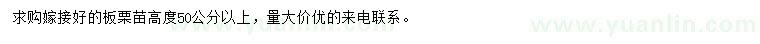 求購高度50公分以上嫁接好的板栗苗