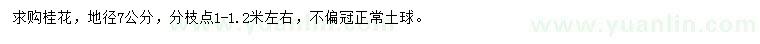 求購地徑7公分桂花