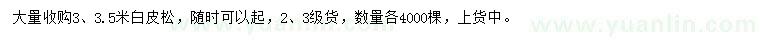 求購3、3.5米白皮松