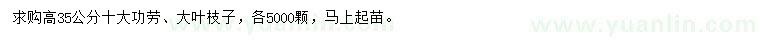 求購高35公分十大功勞、大葉枝子