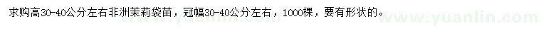 求購高30-40公分左右非洲茉莉