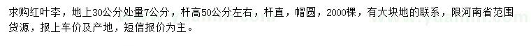 求購地上30量7公分紅葉李