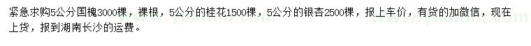 求購國槐、桂花、銀杏