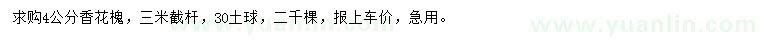 求購4公分香花槐
