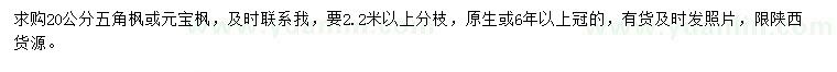 求購(gòu)20公分五角楓或元寶楓