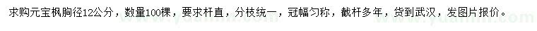 求購胸徑12公分元寶楓