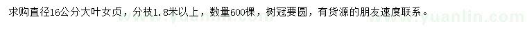 求購(gòu)直徑16公分大葉女貞