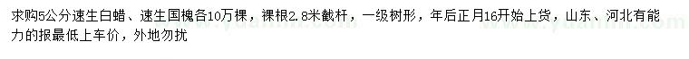 求購5公分速生白蠟、速生國槐