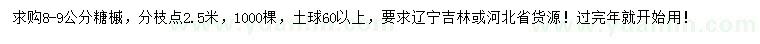 求購8-9公分糖槭
