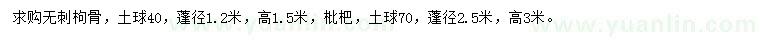 求購(gòu)蓬徑1.2米無(wú)刺枸骨、高3米枇杷