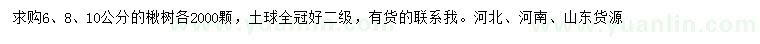 求購6、8、10公分楸樹
