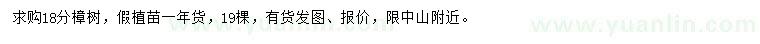 求購18公分樟樹
