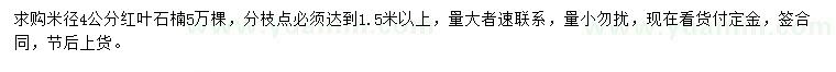 求購(gòu)米徑4公分紅葉石楠