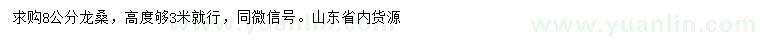 求購8公分龍桑