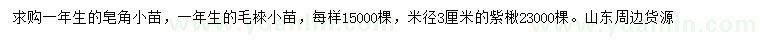 求購皂角小苗、毛棶小苗、紫楸小苗