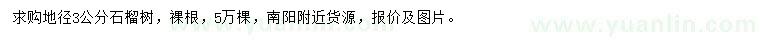 求購地徑3公分石榴樹