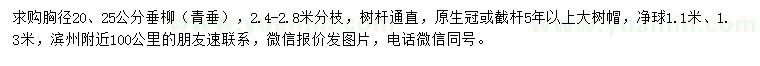 求購(gòu)胸徑20、25公分青垂