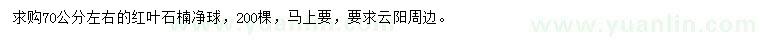 求購70公分左右紅葉石楠凈球