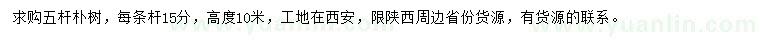 求購五桿樸樹
