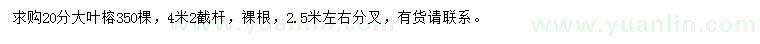 求購(gòu)20公分大葉榕