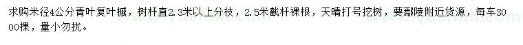 求購米徑4公分青葉復葉槭